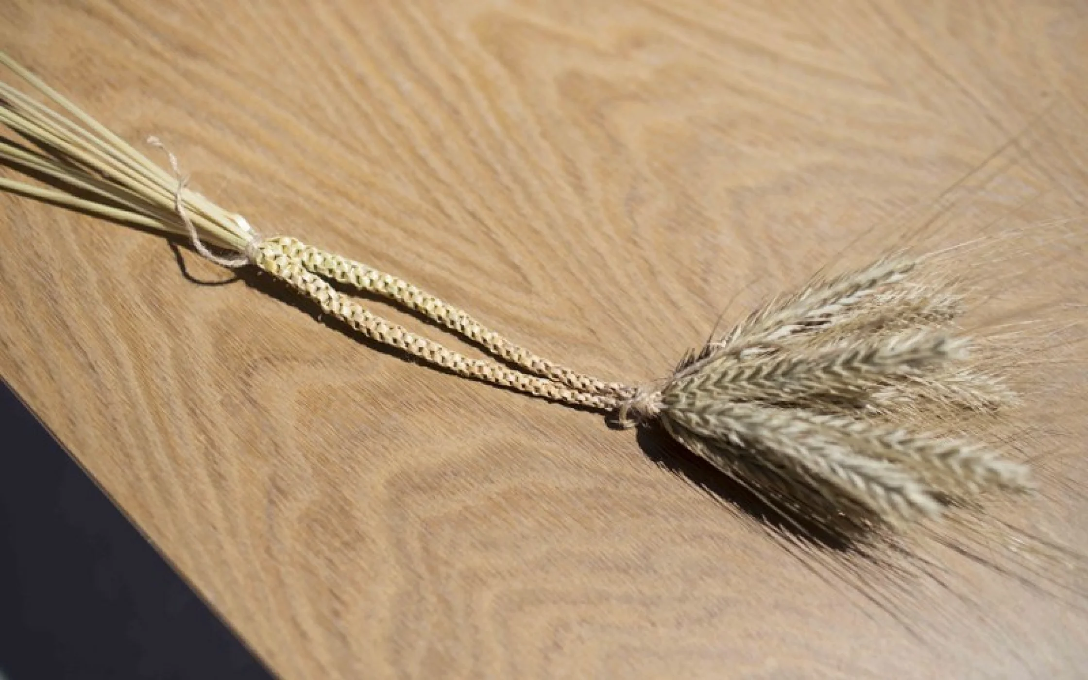 Bild5 Strohherz_MathildeWieserarminhuber_2017 50_800x533.jpg